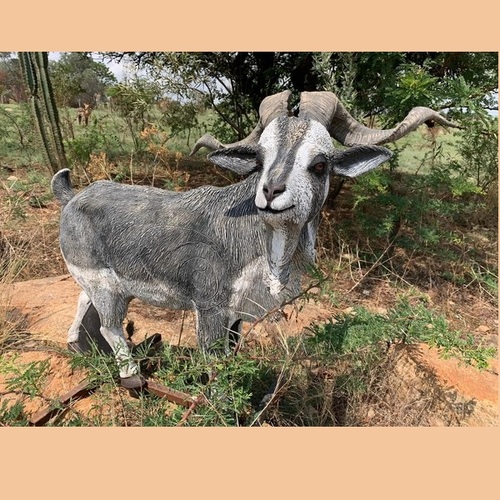 Wildcrete Feral Goat 3D Target